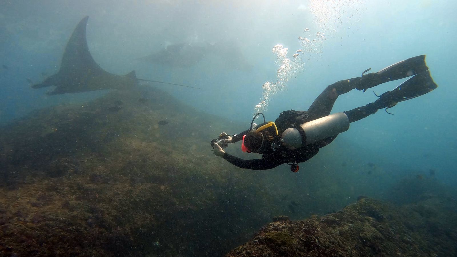 PADI 5* 中心在藍夢島進行高級潛水探險