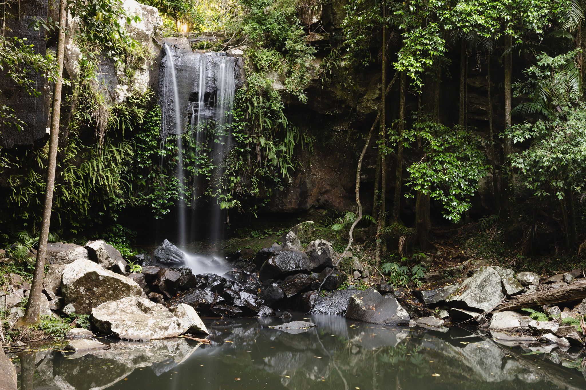 “Discover beautiful waterfalls hidden in Tamborine’s lush rainforest.