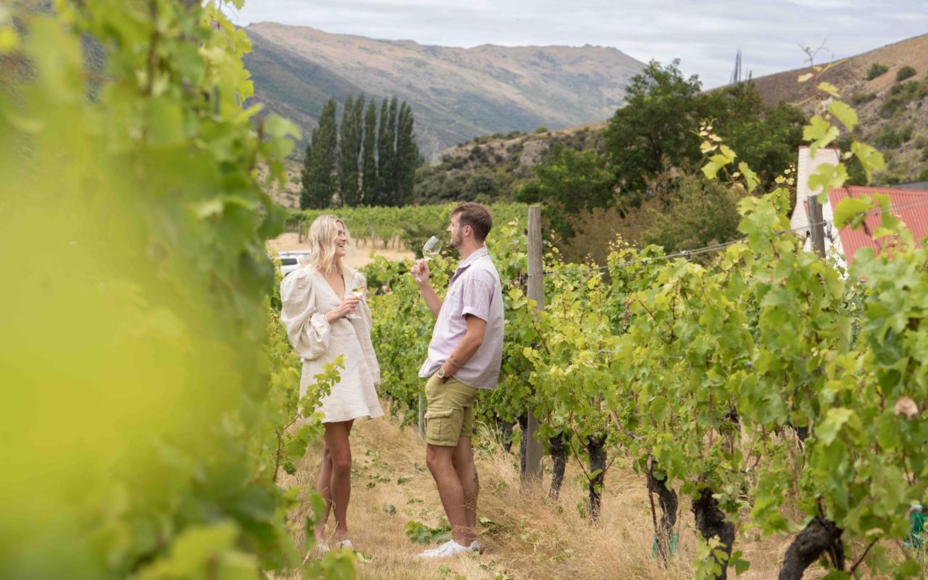一場結合品酒、飽覽美景與難忘用餐體驗的美味旅程