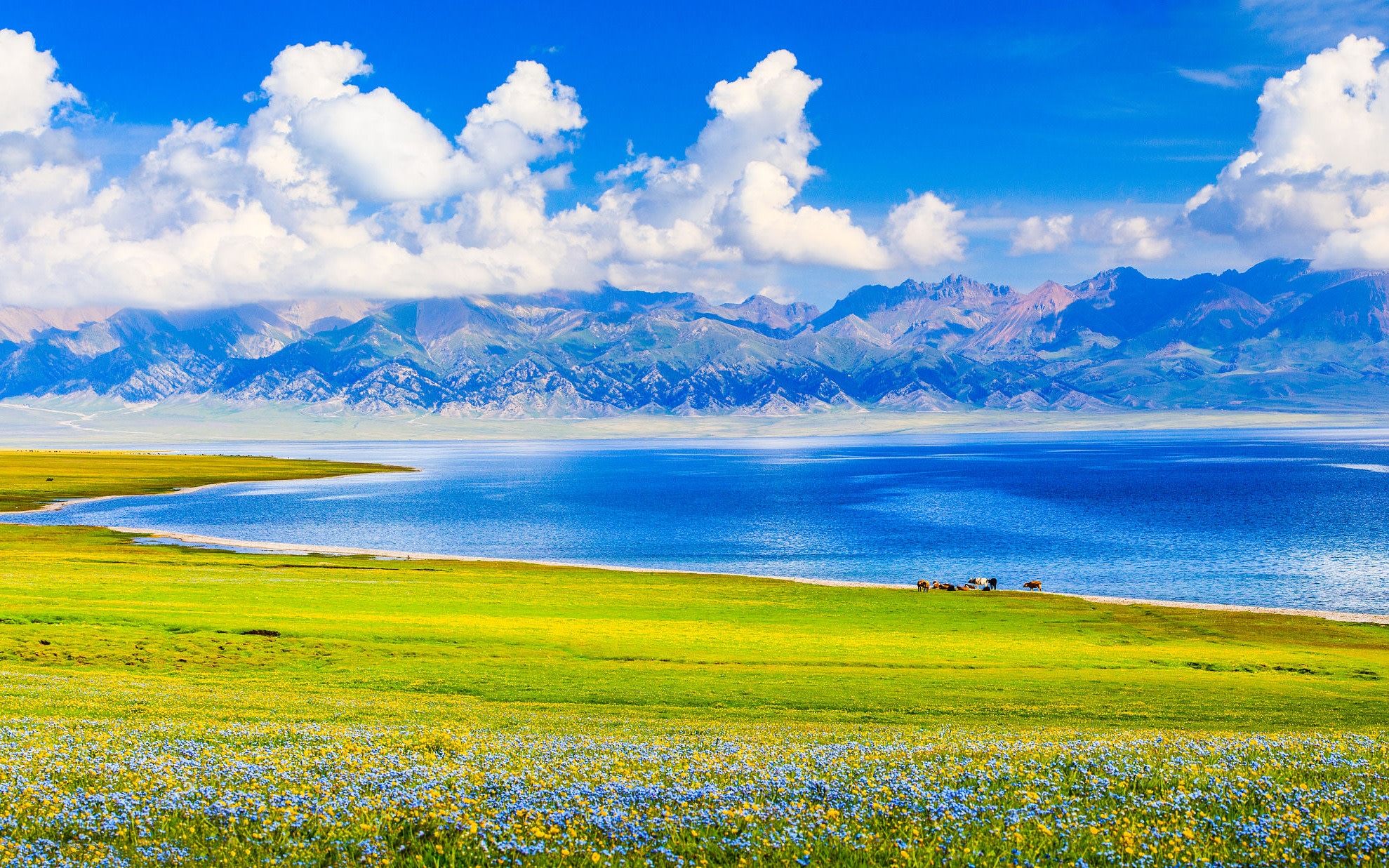 【Private Tour】7-Day Ili Loop Tour in Xinjiang