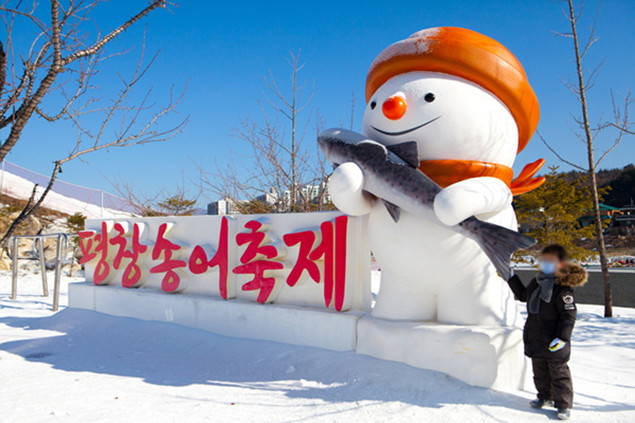 每年舉辦的平昌鱒魚節 (Pyeongchang Trout Festival) 在平昌郡 (Pyeongchang-gun) 舉行，這裡是韓國最大的鱒魚產地。在平昌清澈水域中養殖的鱒魚，以其豐富且有嚼勁的口感而廣受歡迎。在節慶期間，遊客可以盡情享受冰上釣魚的樂趣
