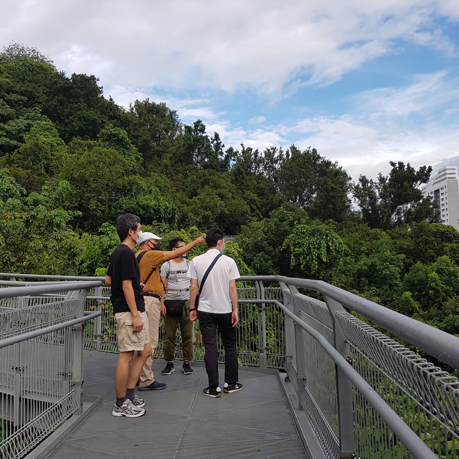 新加坡南部山脊徒步探索之旅（X-Trekkers 提供）