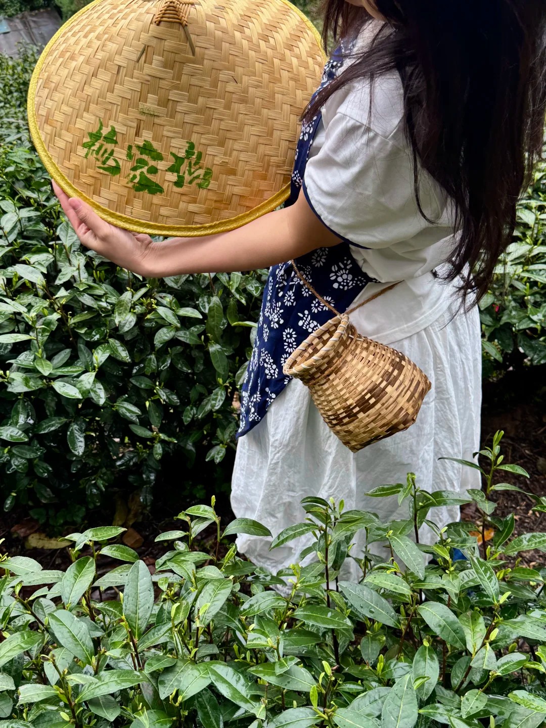 杭州西湖文化村休閒半日遊（龍井茶茶葉採摘+炒制殺青+宋代點茶夢華錄/莊園品茶半日休閒體驗）