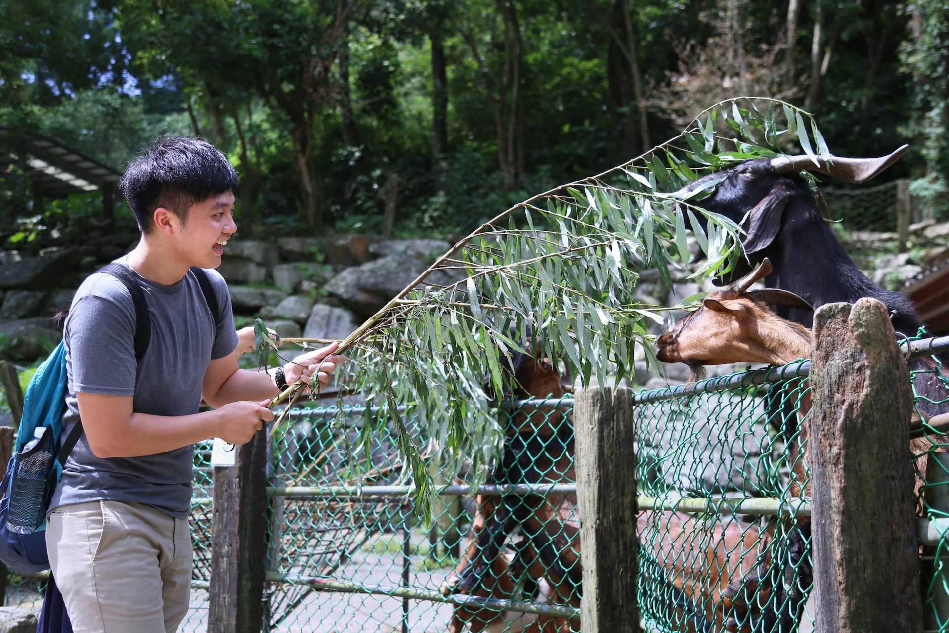 Toucheng Leisure Farm健行 & 美食體驗一日遊