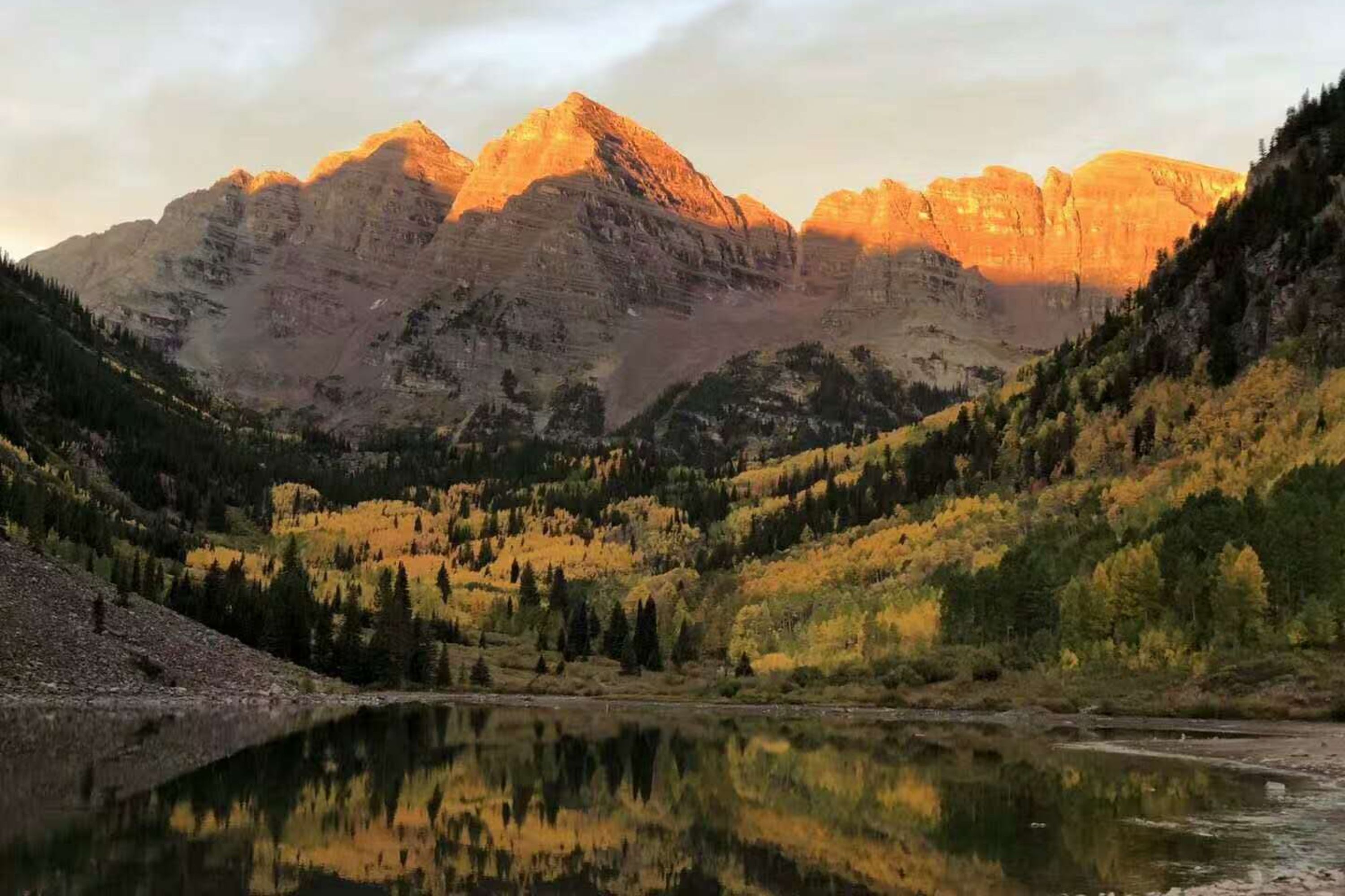 Seattle Olympic National Park Full-Day Small Group Nature Tour