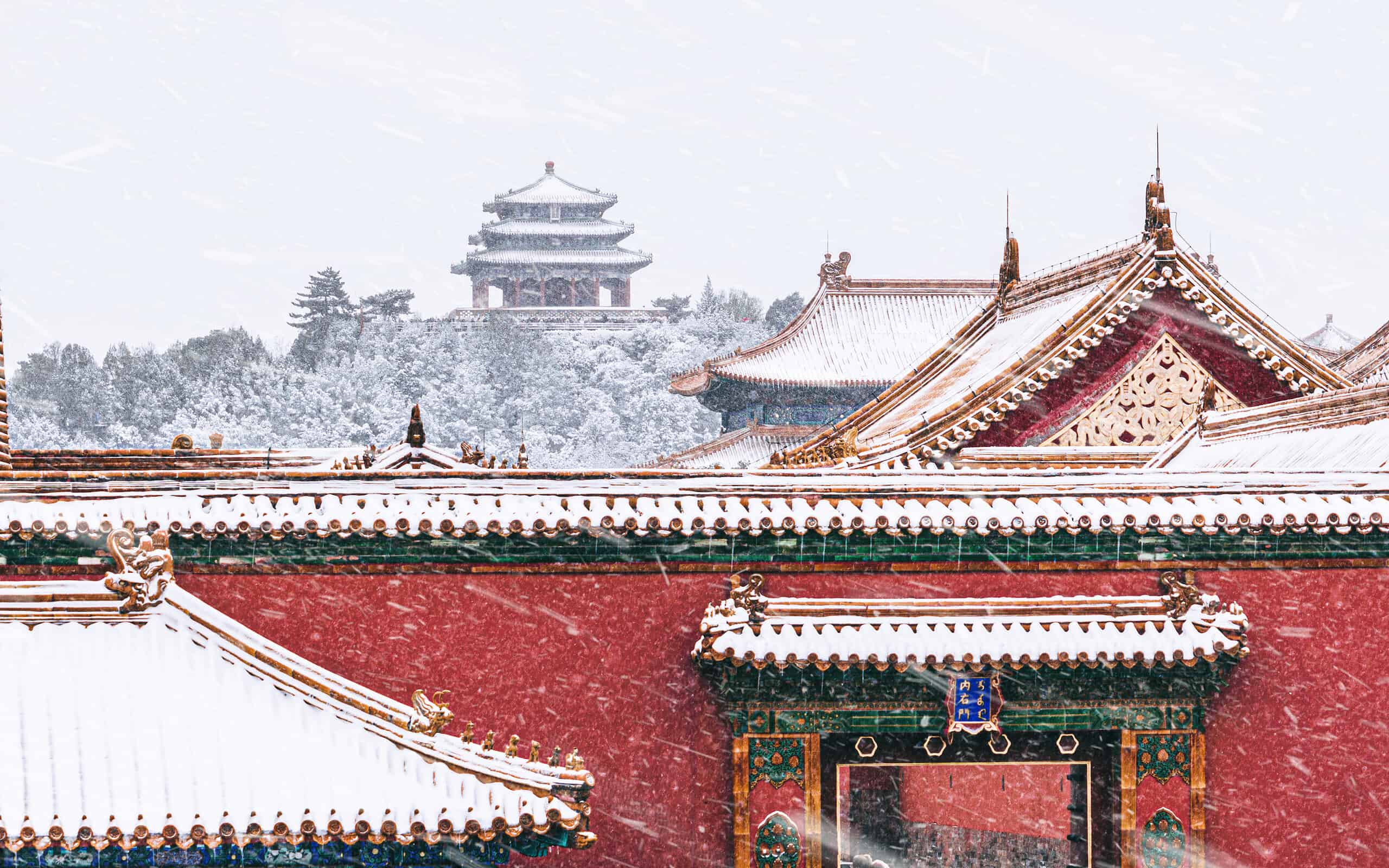 Your tour ends at the north gate of the Forbidden City, from where you can continue sightseeing independently or be transferred back to your hotel ( if you choose the option including transfer).