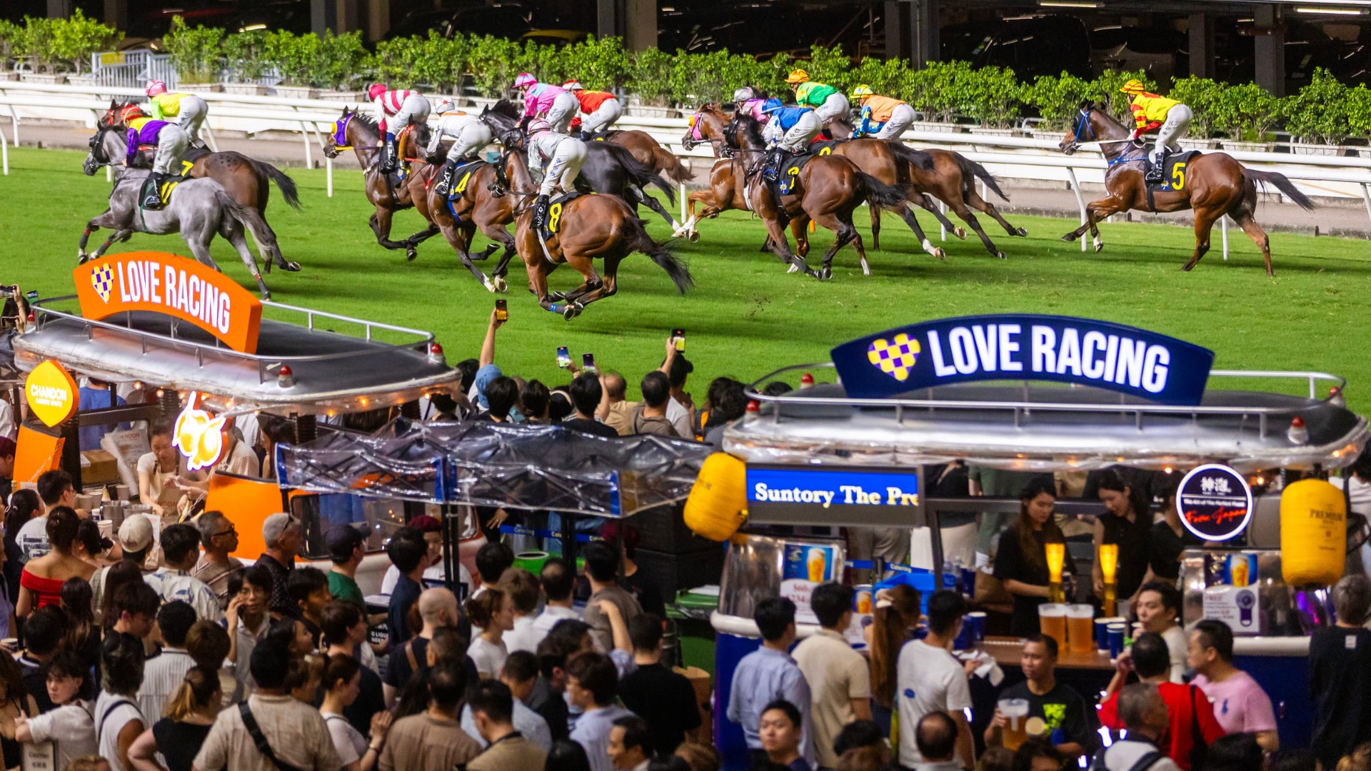 One Day/ Night Horse Racing Experience with Racecourse Guided Tour & Dining