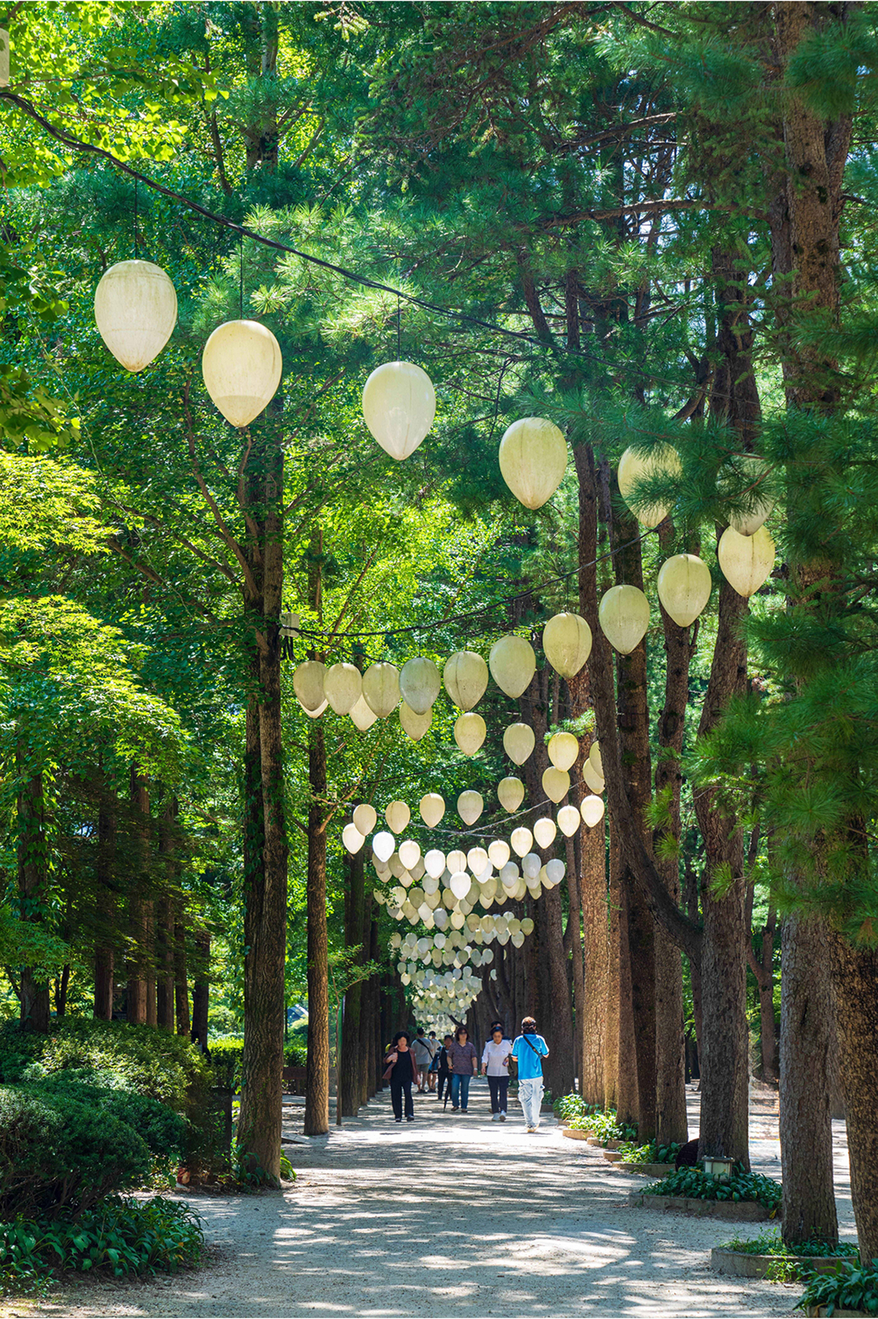 正在尋找遠離城市喧囂的寧靜之地嗎？南怡島是您不容錯過的目的地！