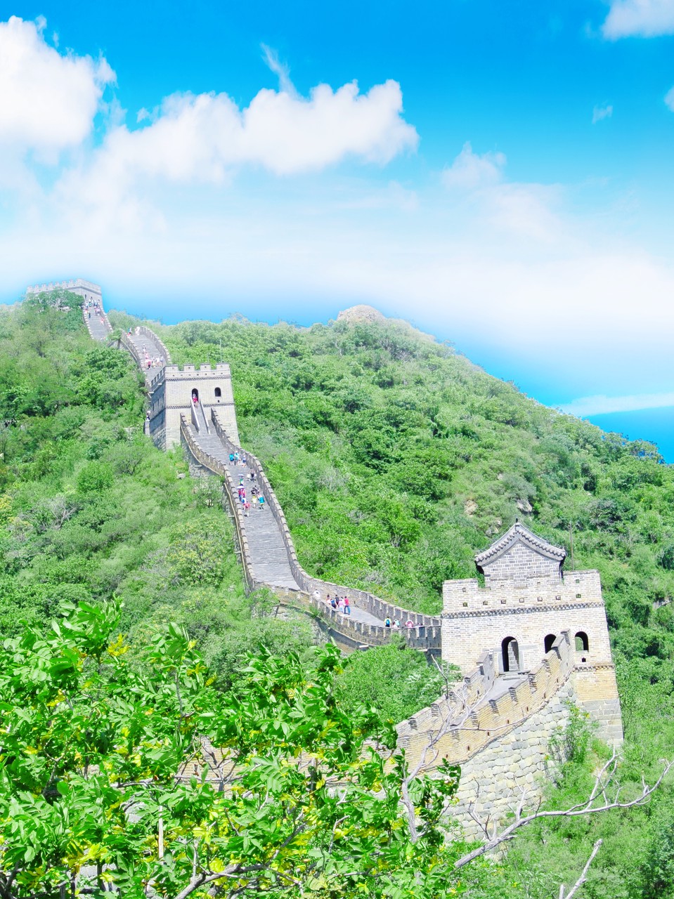 Mutianyu Great Wall and Palace Museum (Forbidden City) Day Tour
