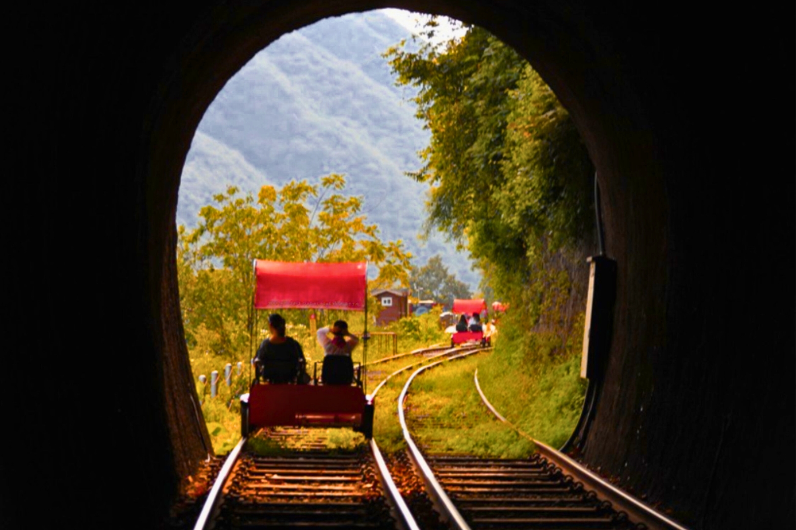 羊駝牧場 / 南怡島 / 江村鐵路自行車 / 晨靜樹木園 / 樂高樂園 /  塗鴉秀 / 猛男秀一日遊