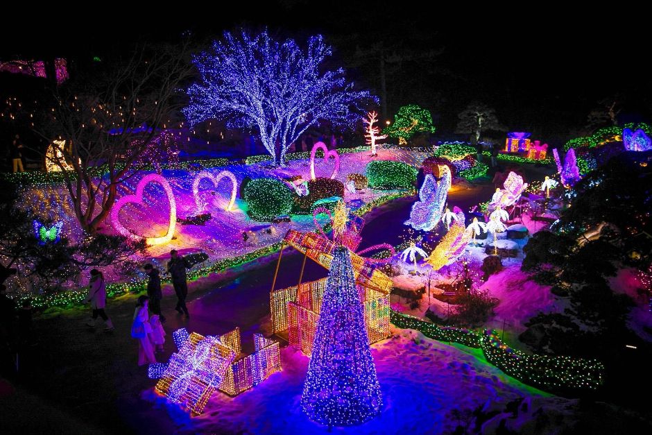 無論是浪漫漫步，或是與好友們開心合影，這座花園都是韓國最受歡迎的景點之一，每個角度都能拍出明信片般的美景。