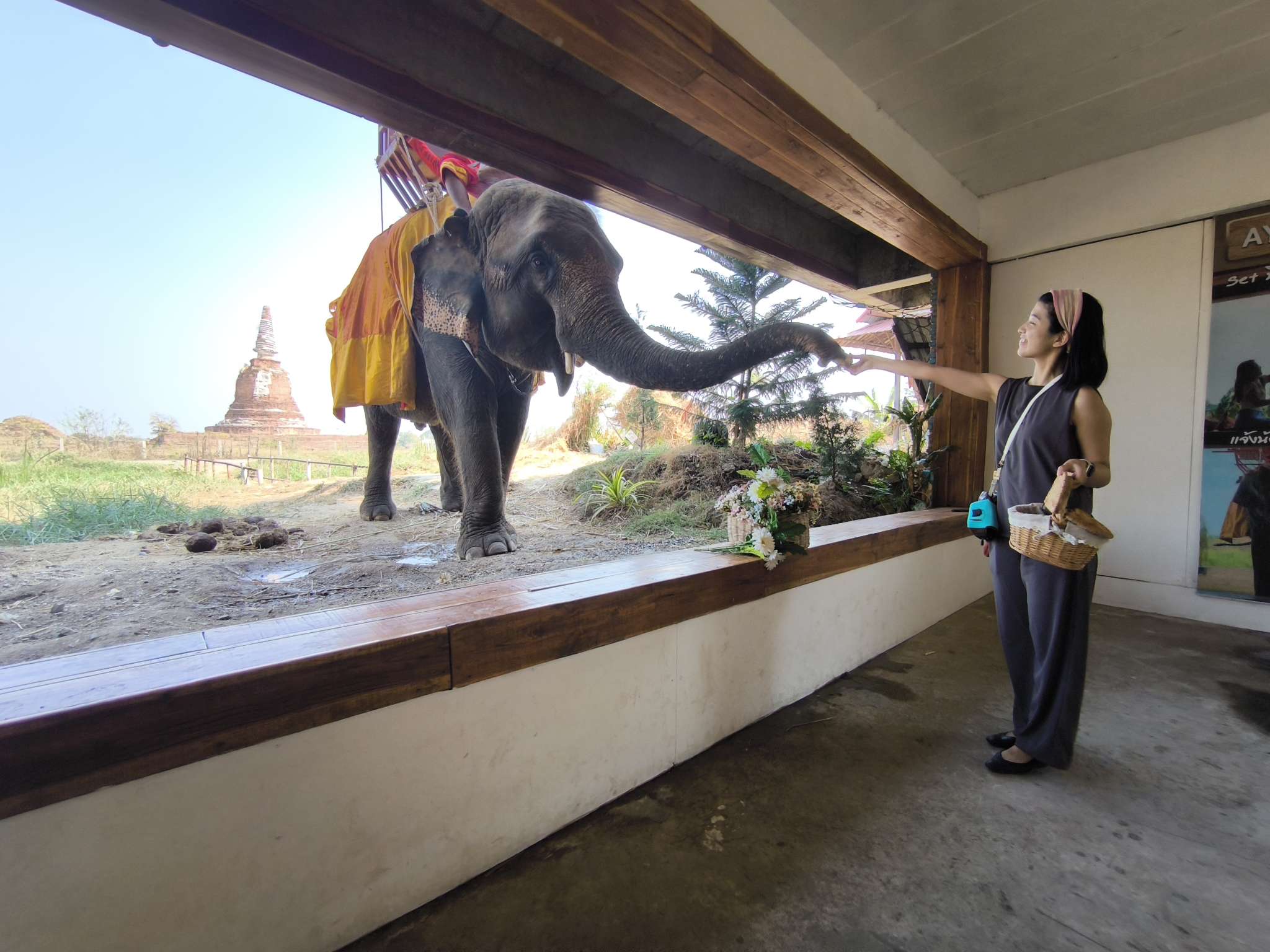 Ayutthaya World Heritage Site Tour + Half-Day Tour with a Stop at a Cafe Where Elephants Visit or a Floating Market Walk (From Bangkok / Japanese Guide)