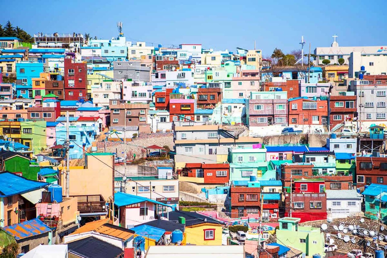 Busan Private City Highlights Tour for Cruise Passengers