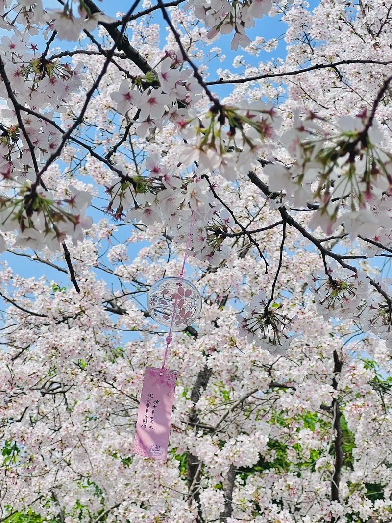 太湖黿頭渚風景區
