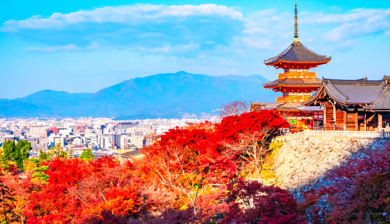 京都+奈良+清水寺區域-和服體驗+八坂神社+伏見稻荷大社+奈良公園-看鹿和楓葉的奈良公園+東大寺