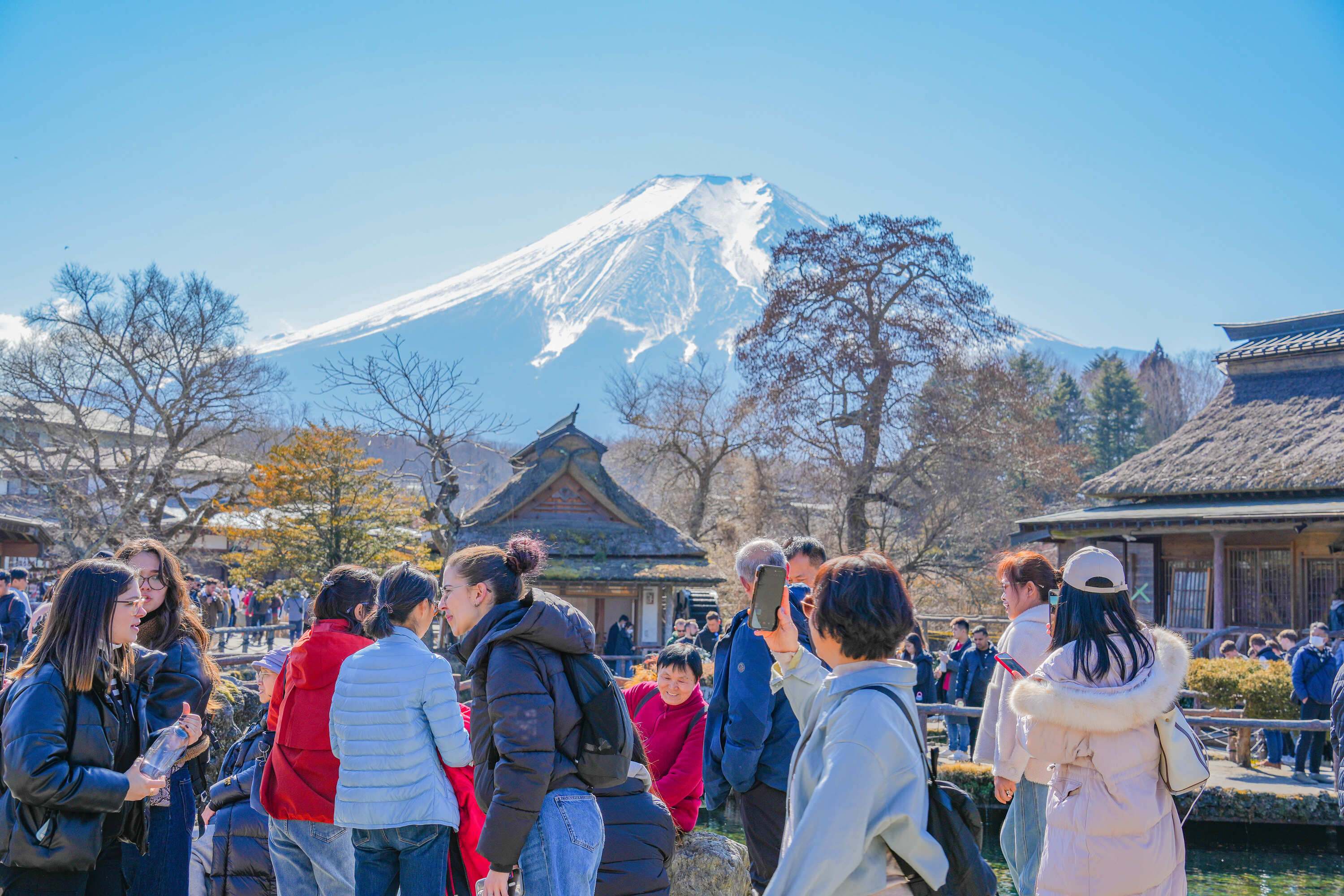 從東京出發：富士山、鎌倉、蘆之湖與忍野八海巴士之旅