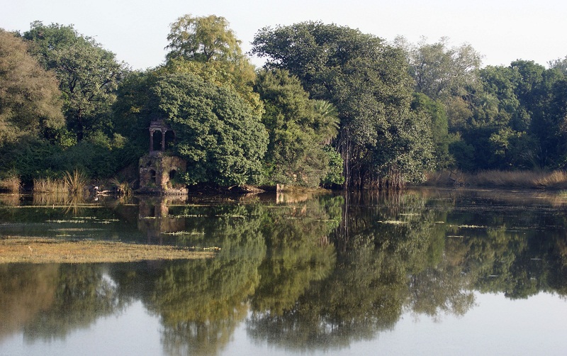 Scenery at the Ranthambore National Park.