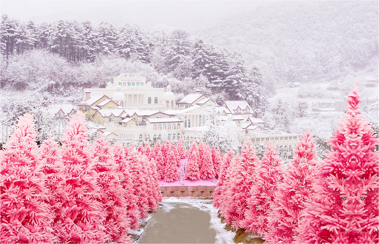 📸 這裡是捕捉難忘冬日回憶的絕佳地點。