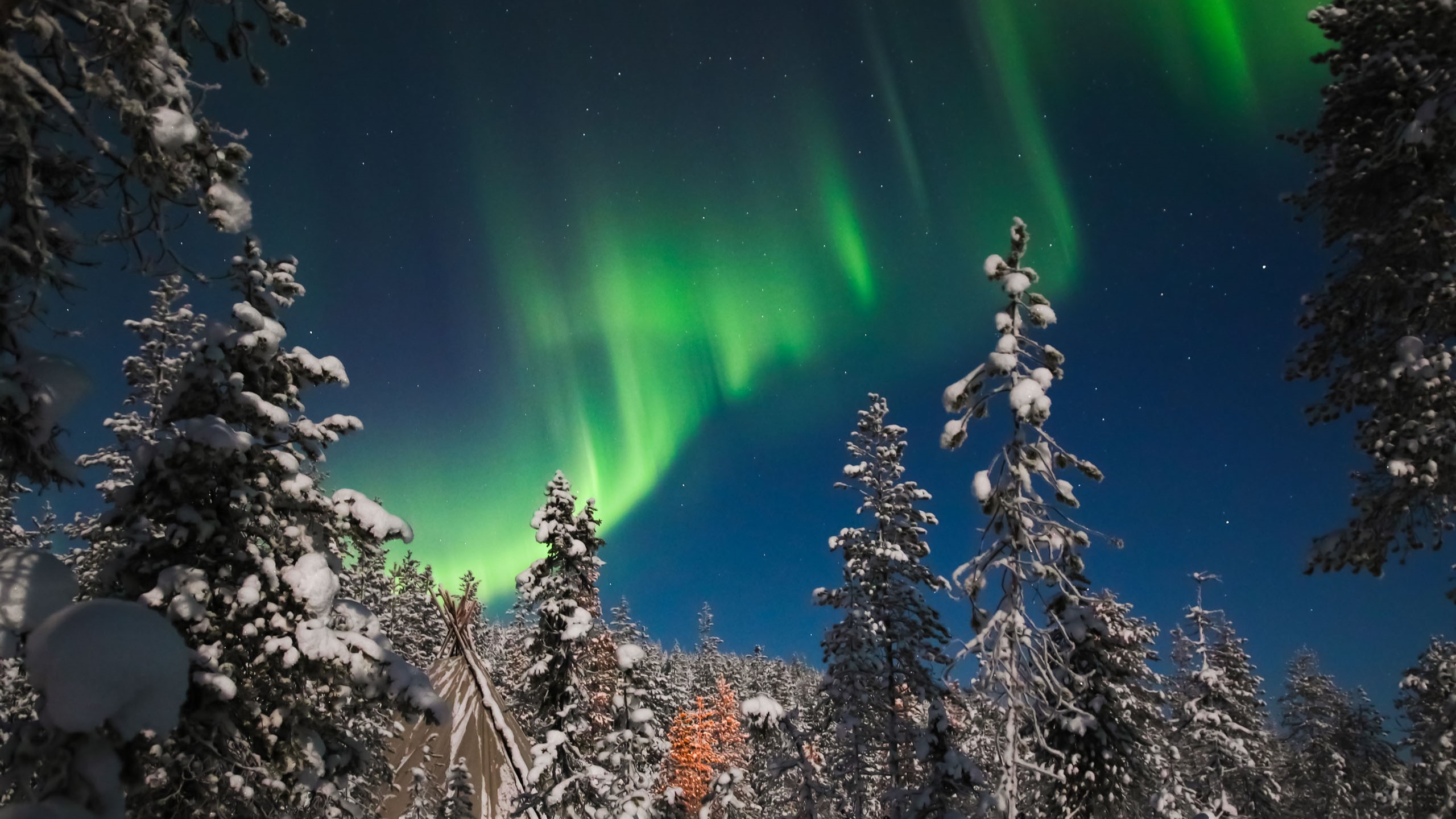 Mesmerizing northern lights dance above snow-covered forests in the heart of Finnish Lapland