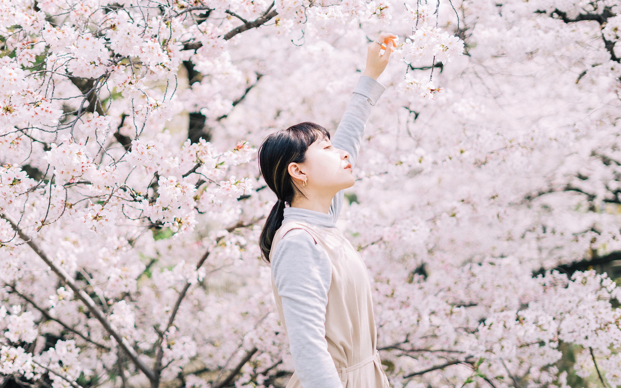 Snap Photography Experience (Nagoya)