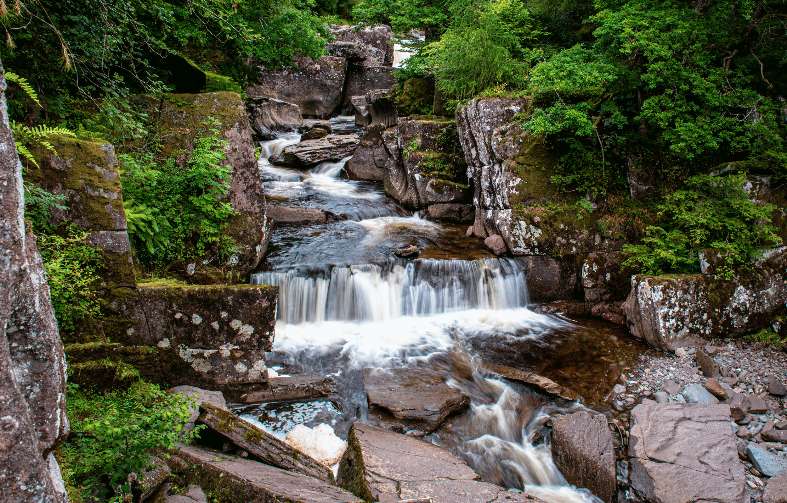 Loch Lomond Driving Tour