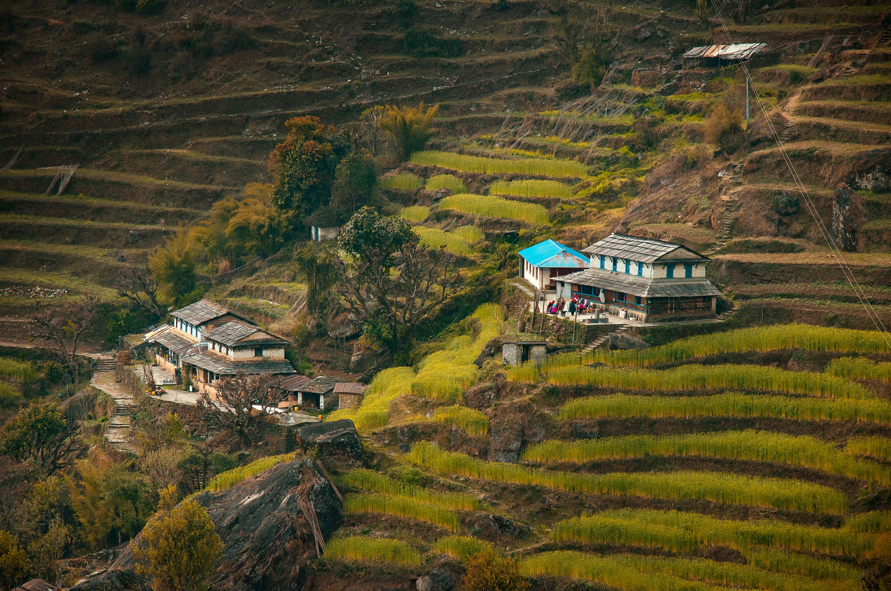 Annapurna Base Camp Trek 7 days 6 Nights 