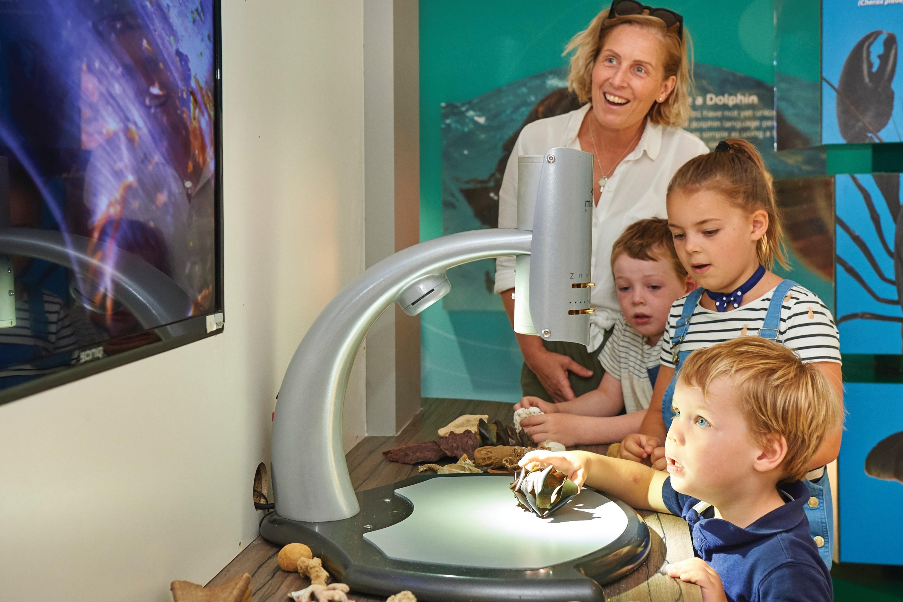 班伯利 Dolphin Discovery Centre 門票