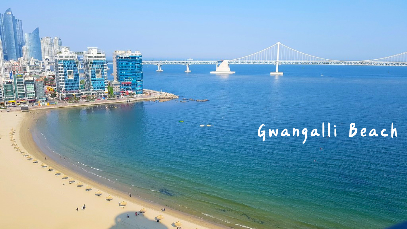 Taejongdae Hydrangea / Songdo Cable Car / Gamcheon / Gwangalli Tour