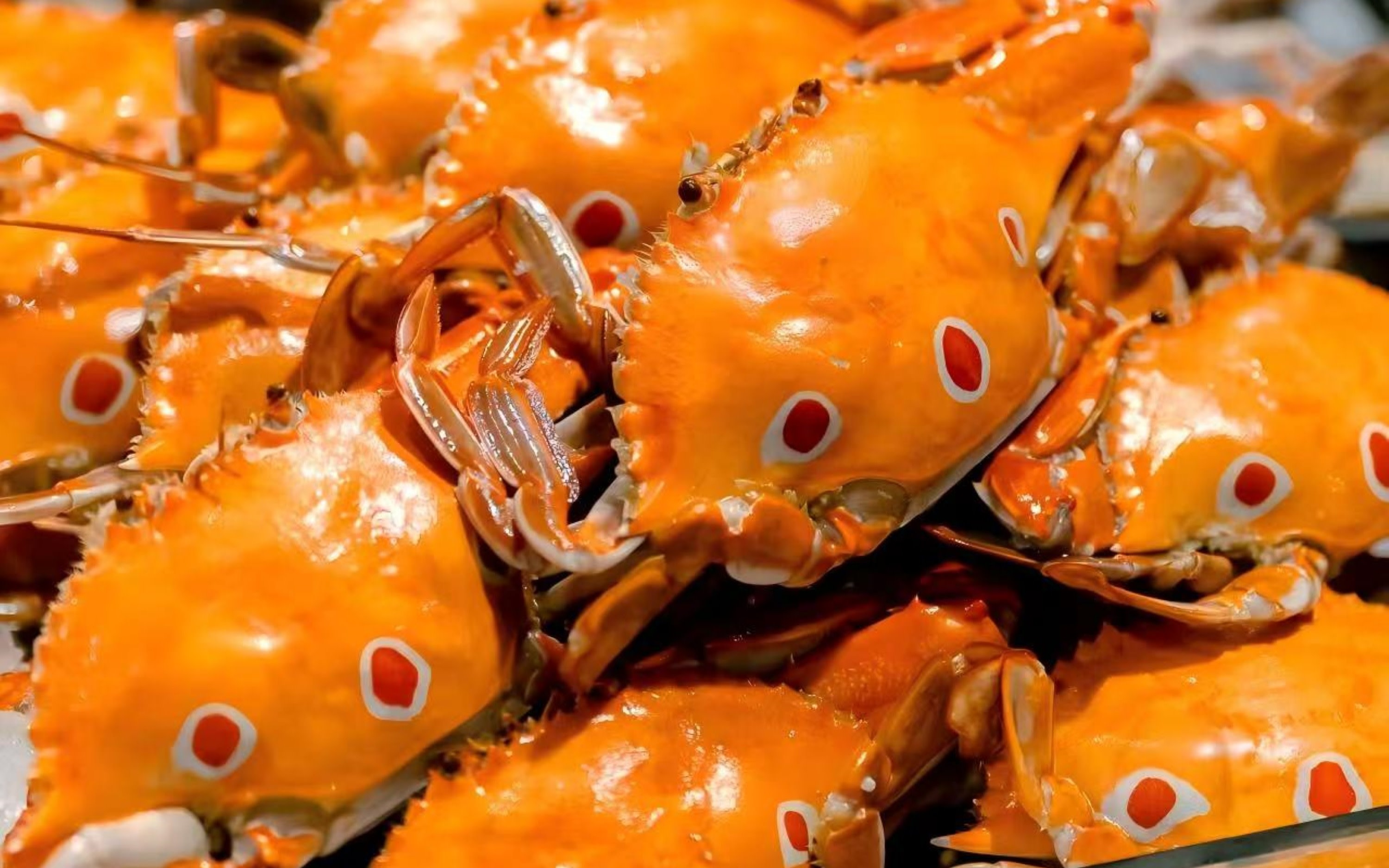 [Buffet Promotion] Grand Park Hotel Shenzhen Tanglang Buffet Dinner