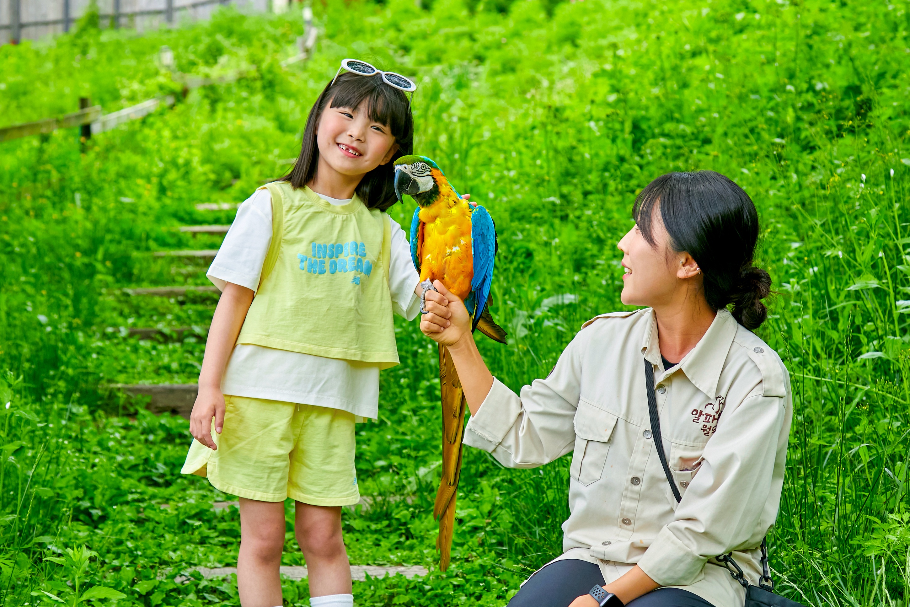捕捉毛茸茸的草泥馬們一起玩耍的可愛瞬間——非常適合留下美好回憶和拍攝照片。
