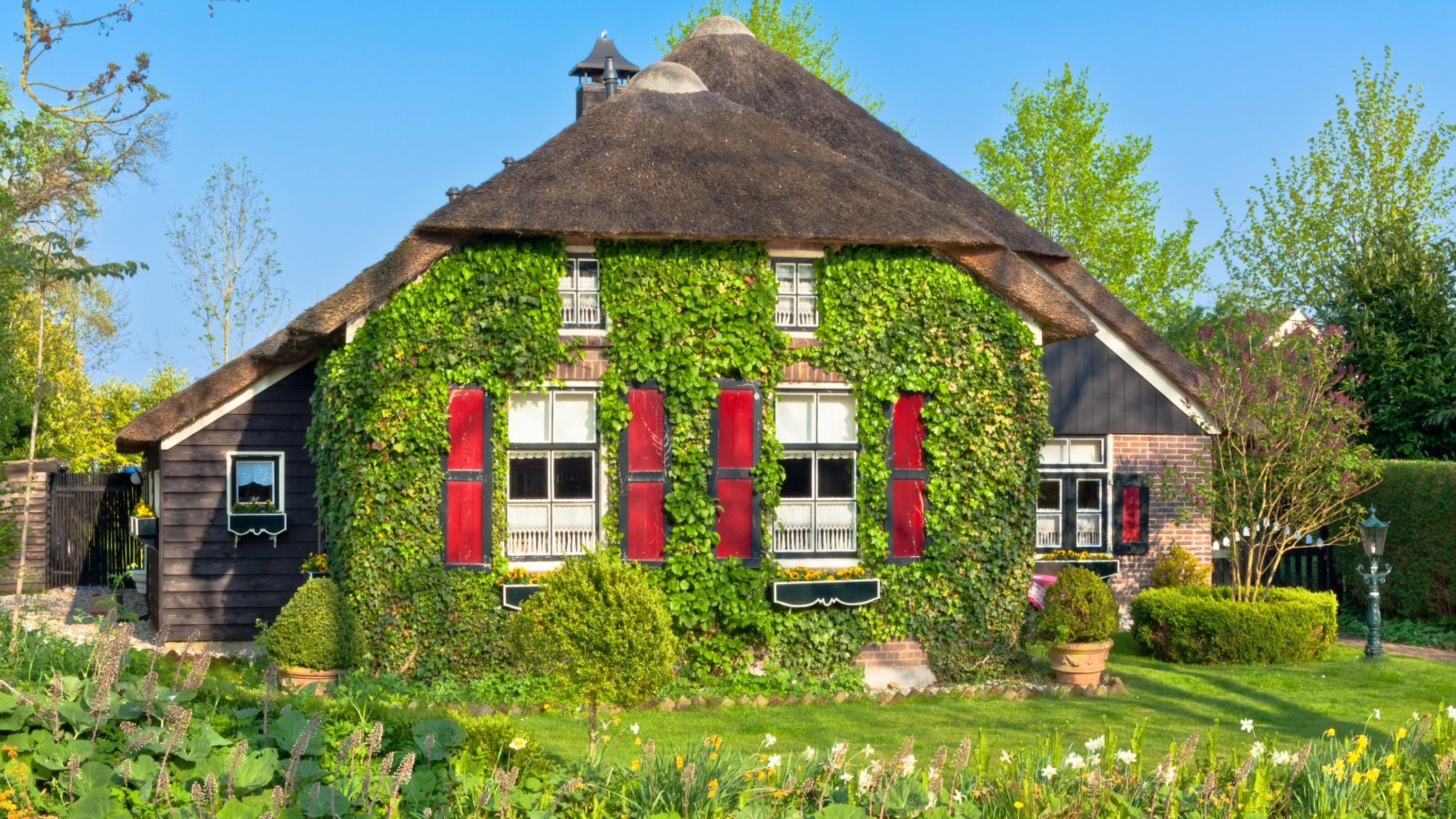 Zaanse Schans, Afsluitdijk & Giethoorn day tour from Amsterdam