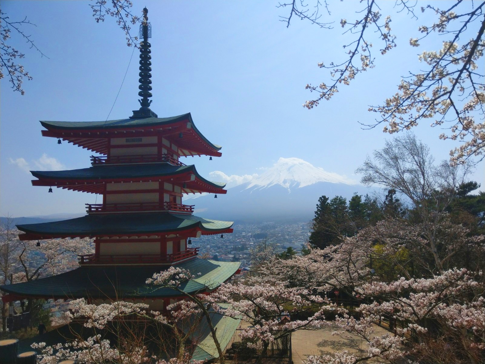 富士山河口湖＆新倉富士淺間神社＆御殿場Premium Outlets一日遊丨東京出發