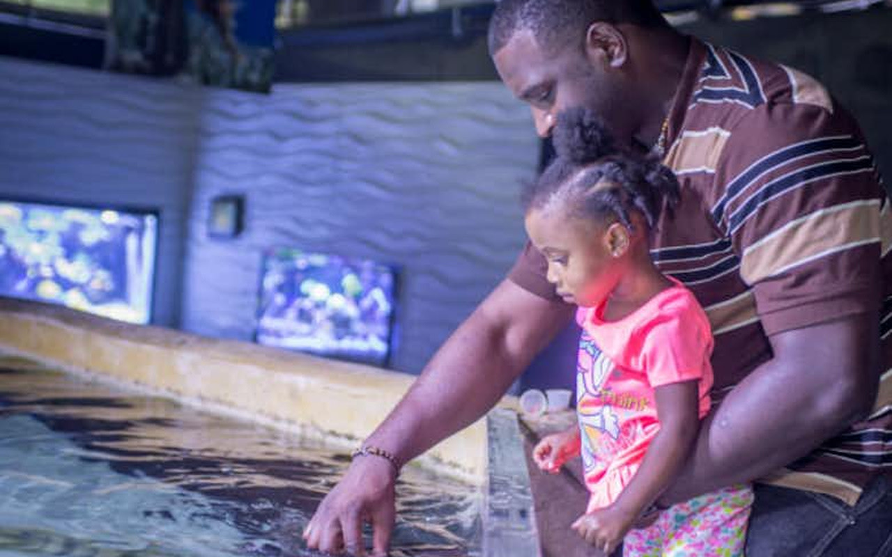 San Antonio Aquarium Ticket