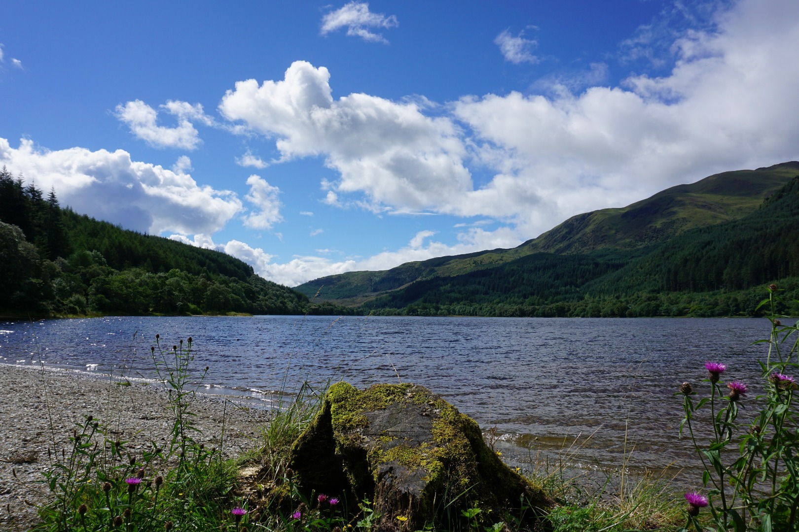 loch ness with rock and grass