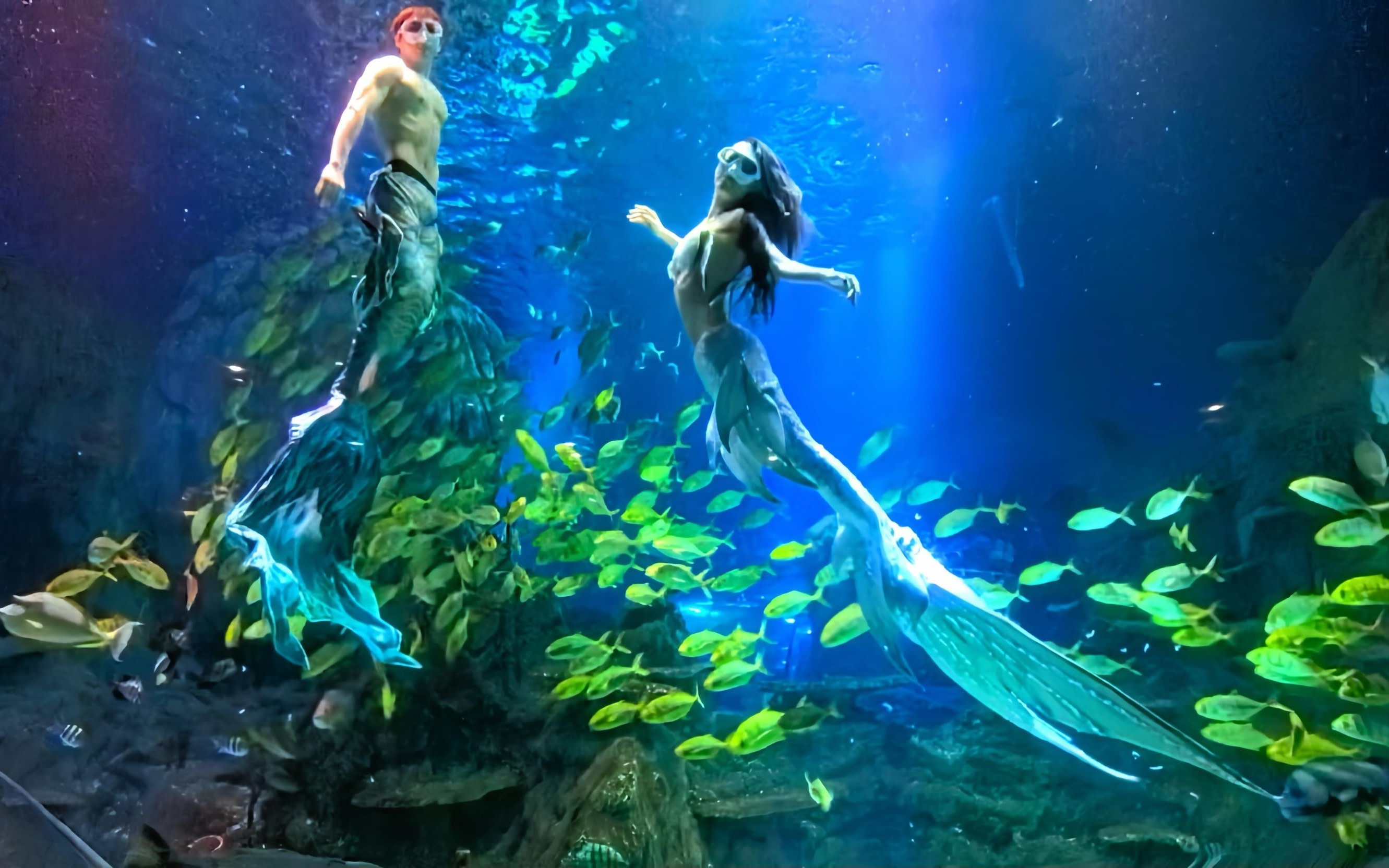 Chongqing Haichang Ocean Park Ticket