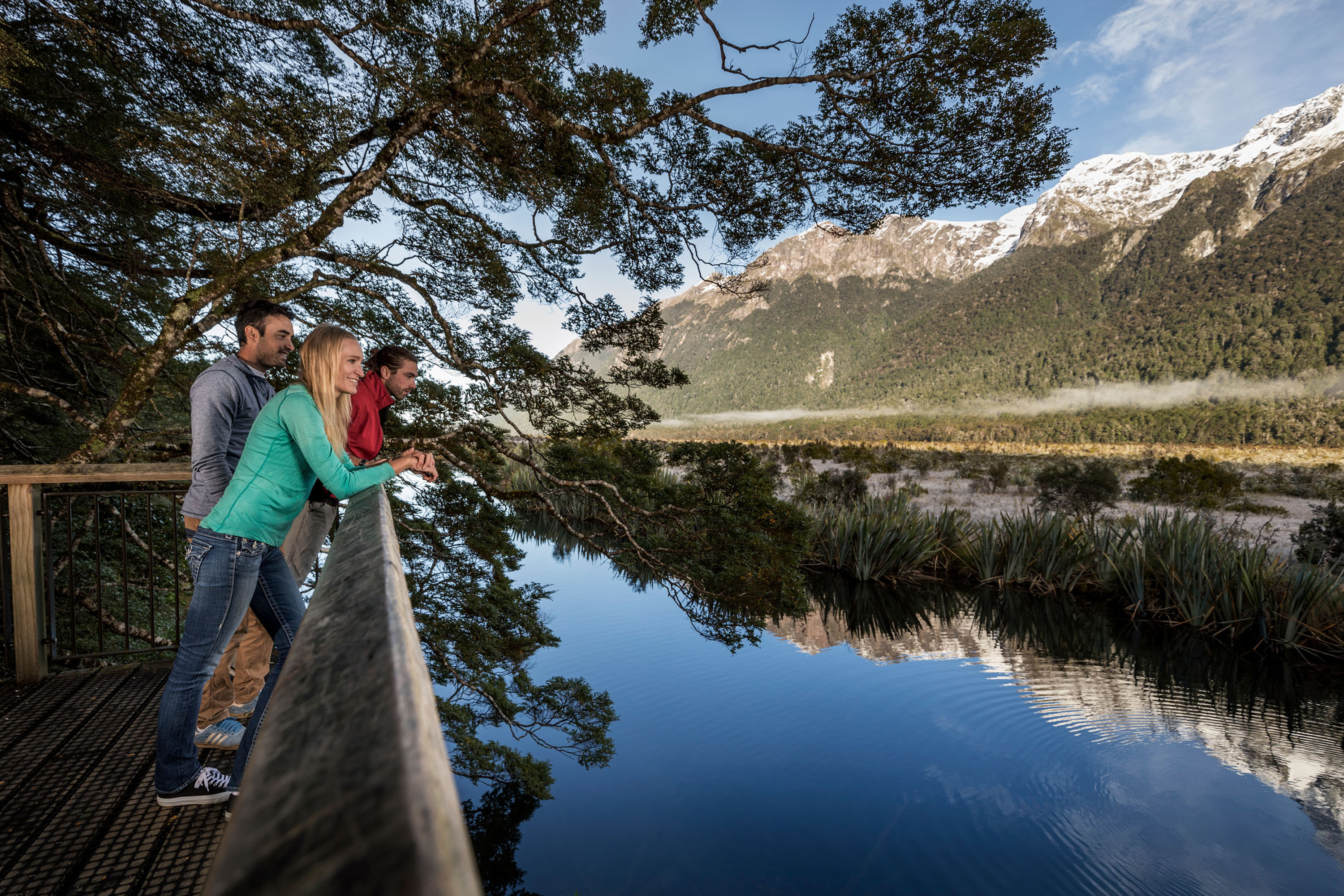 Milford Sound Coach stop at the Mirror Lakes