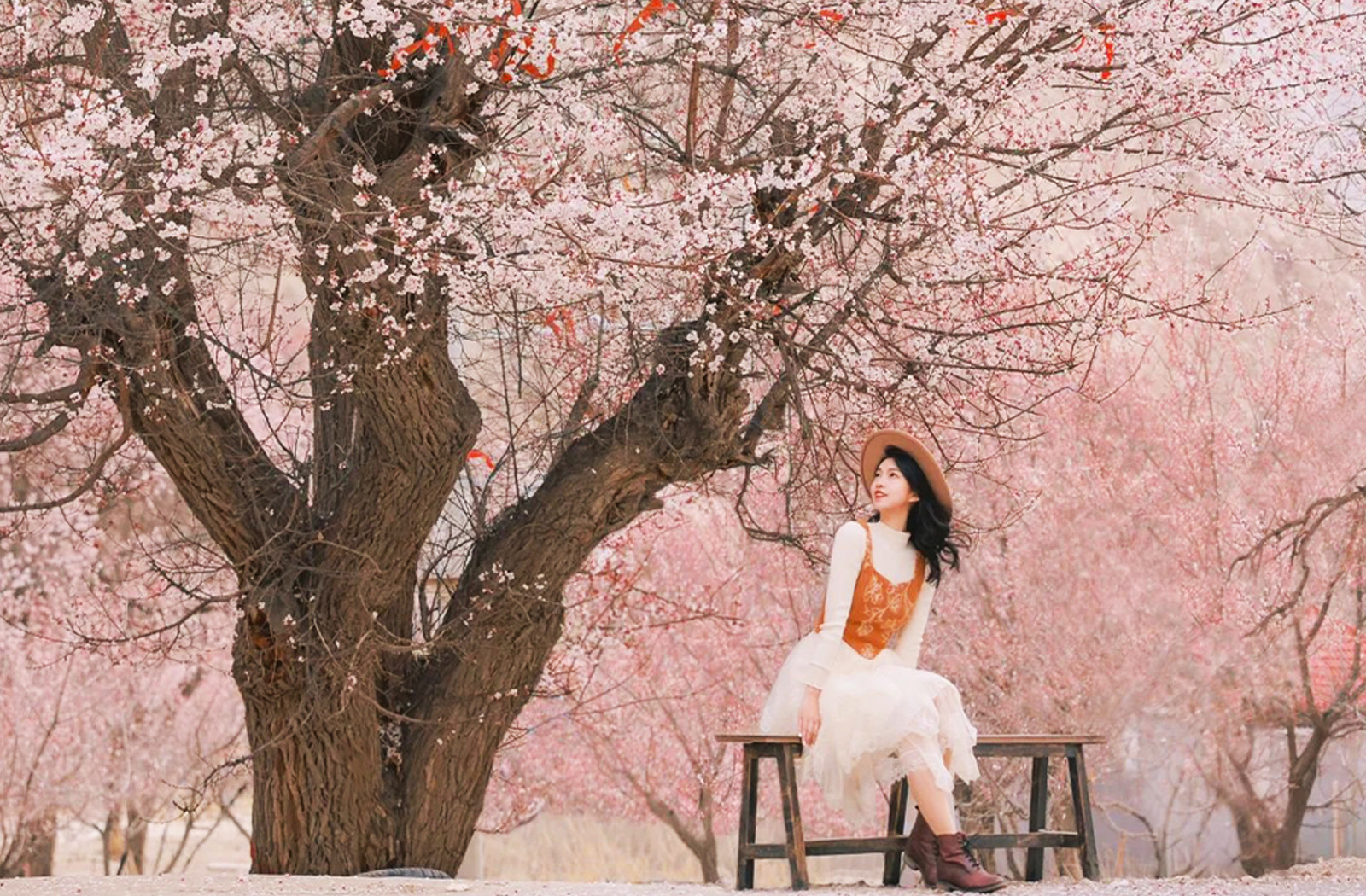 10-дневный тур по абрикосовым цветам в Южном Синьцзяне для малых групп 2-6 человек,欢迎 иностранных гостей