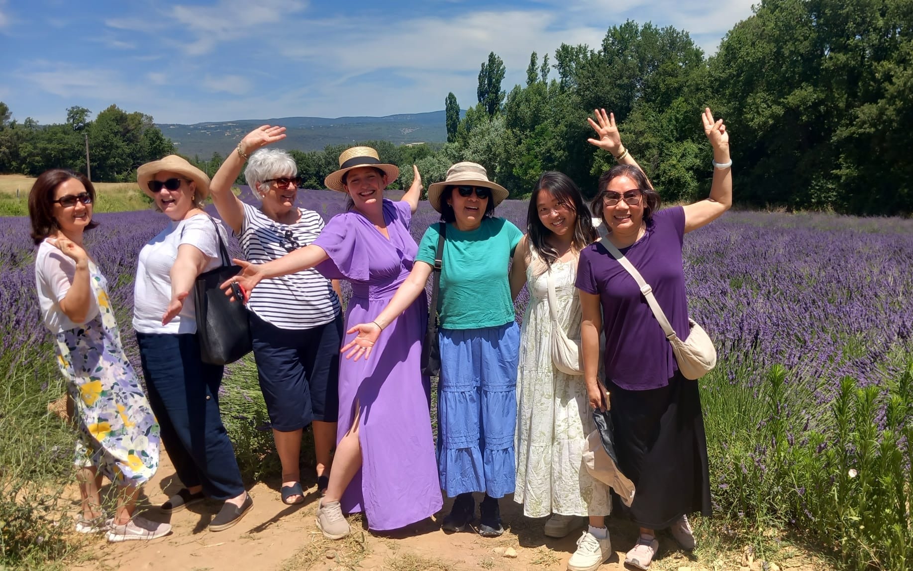 Lavender Full Day Tour Valensole from Aix-en-Provence
