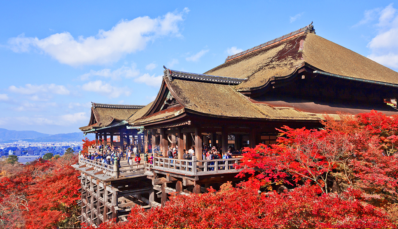 京都+奈良+清水寺區域-和服體驗+八坂神社+伏見稻荷大社+奈良公園-看鹿和楓葉的奈良公園+東大寺