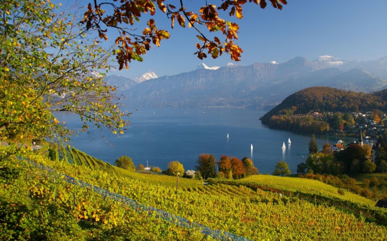 在寧靜水域與遠方白雪皚皚的山峰之間，盡享金黃秋色的美好。