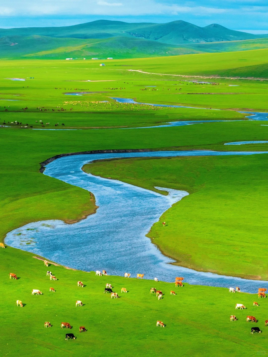 One-day tour to Hulunbuir Grassland from Manzhouli/Hulunbuir