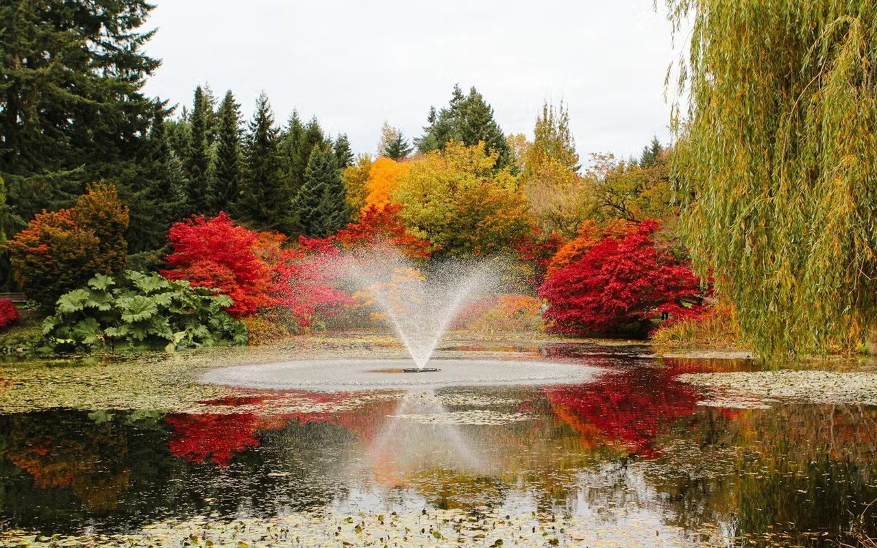 沉浸在繽紛的秋日色彩中，欣賞水面上寧靜的噴泉倒影。