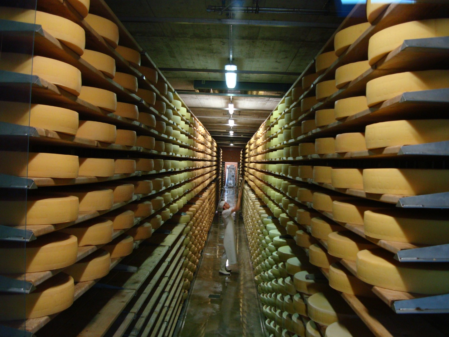 [SALE] Gruyeres Day Tour with Golden Pass Train Ticket from Geneva Sale