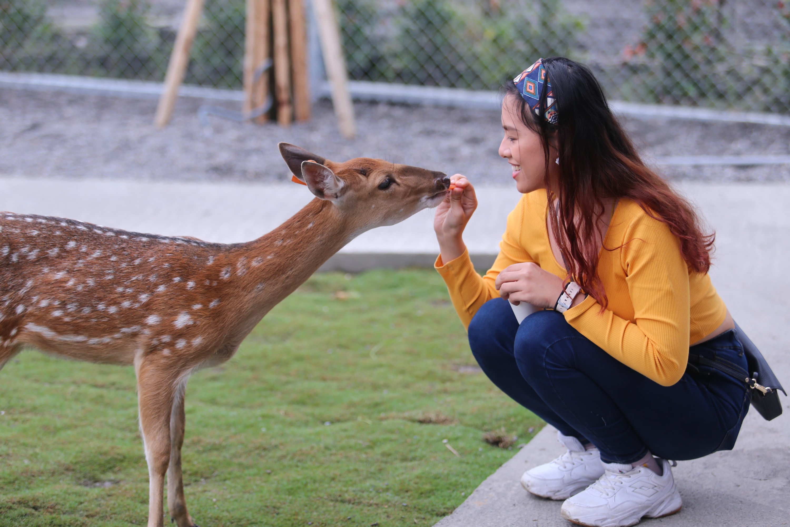 Yilan: Xingbao Scallion Experience Farm - Animal Tour & Scallion Pancake DIY
