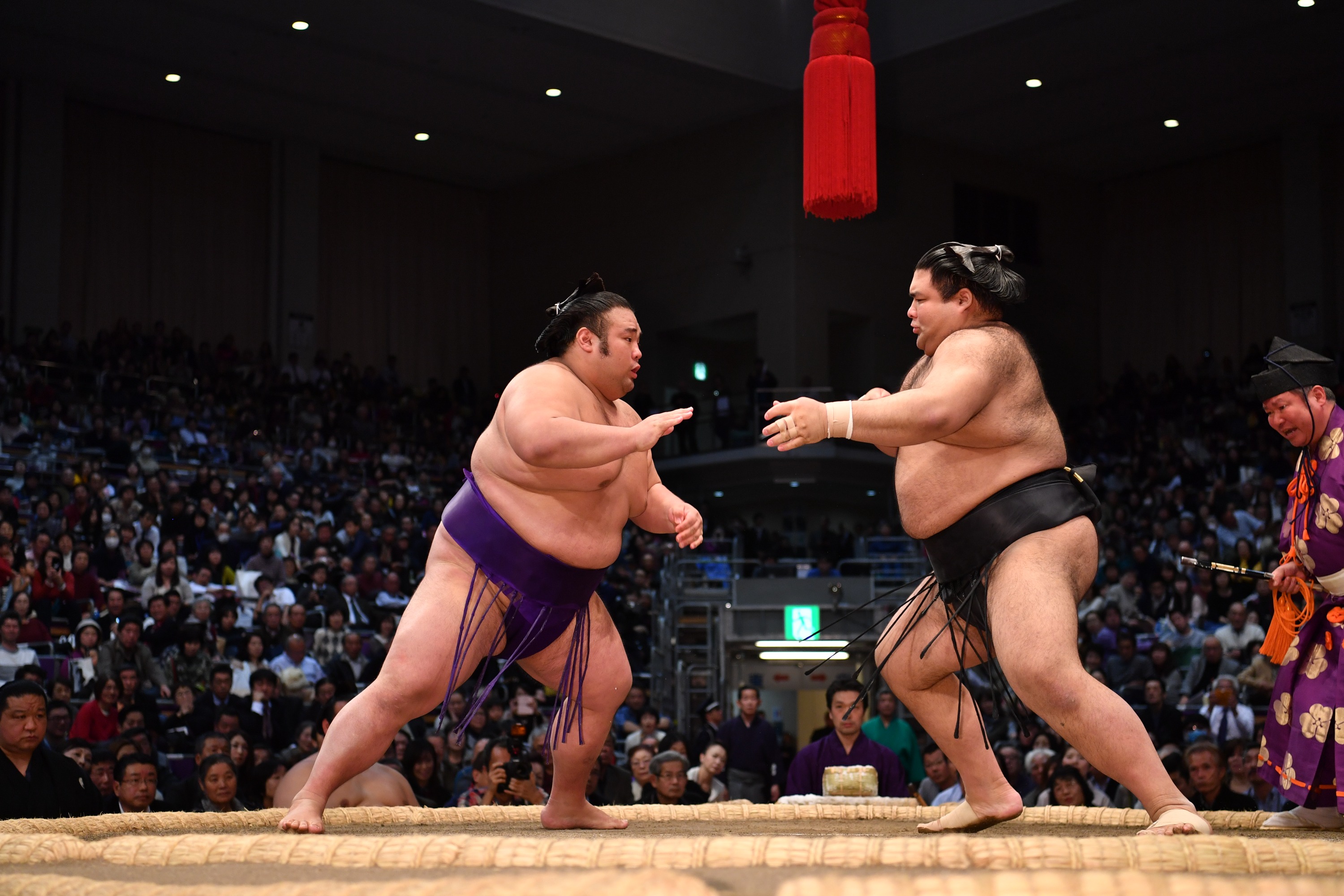 [Osaka] Grand Sumo Tournament (Mass seats for two) and Pufferfish lunch