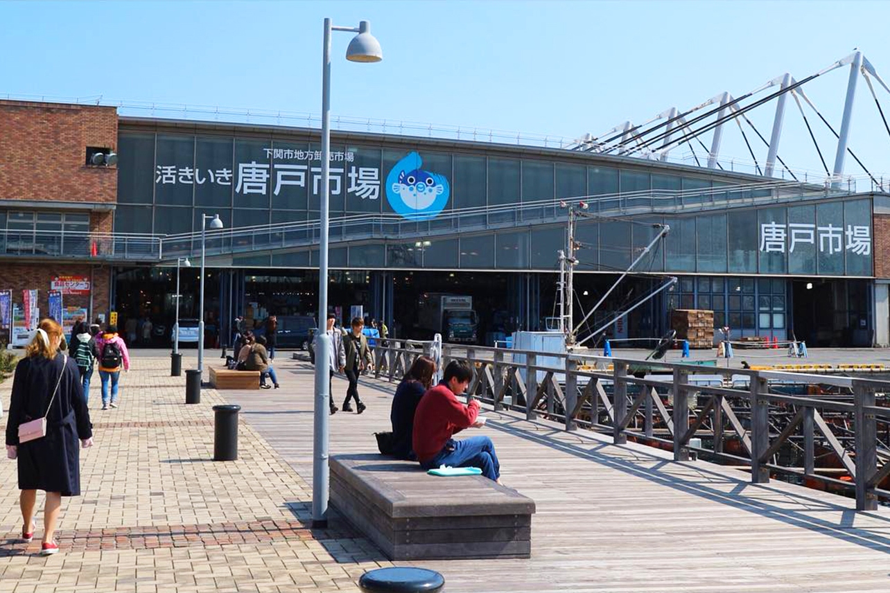 賞花限定｜北九州｜門司港·唐戶市場·小倉城·河內藤園賞紫藤花一日遊｜福岡出發