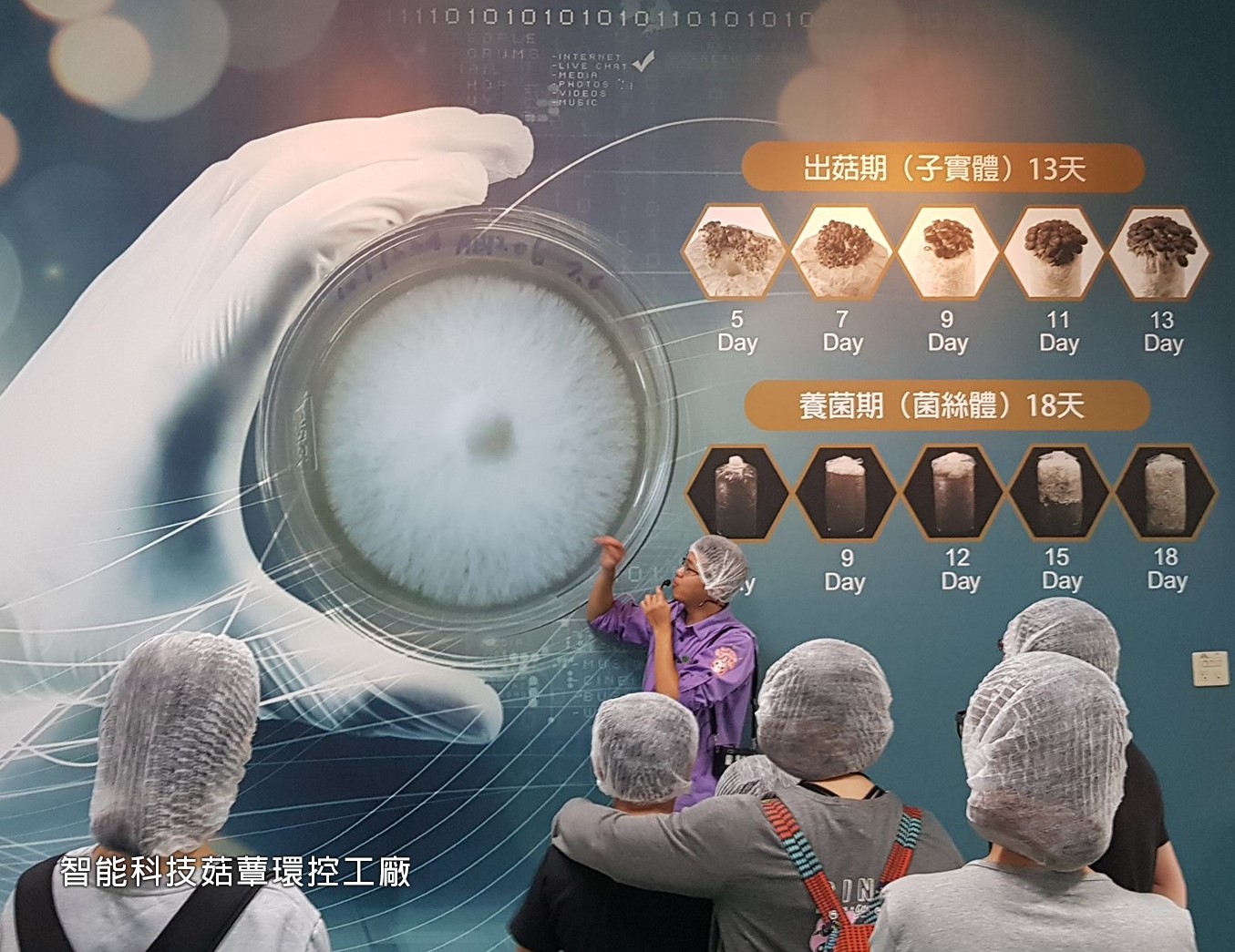 專業人員親切導覽，帶你深入了解菇菇的世界
