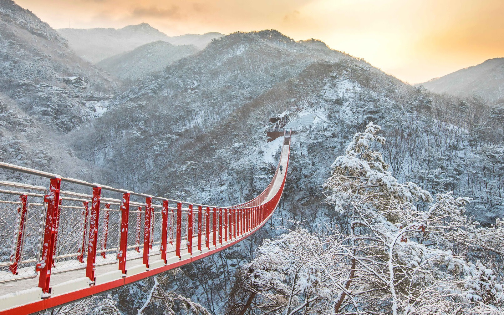 Seoul City & Seasonal Hot Attractions One Day Tour