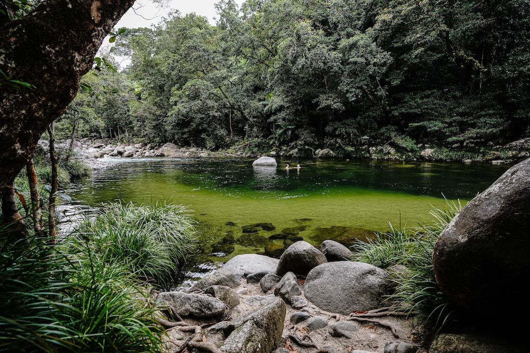 Stunning Mossman Gorge