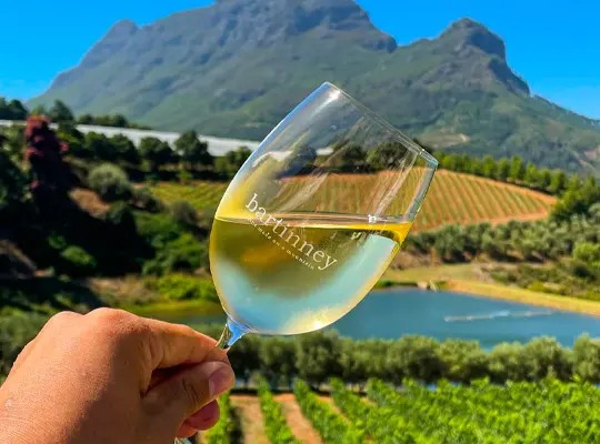 Stellenbosch Vineyard and Wine Tasting Day Tour from Cape Town